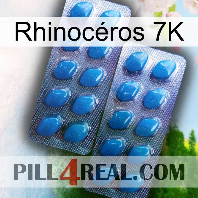 Rhinocéros 7K viagra2